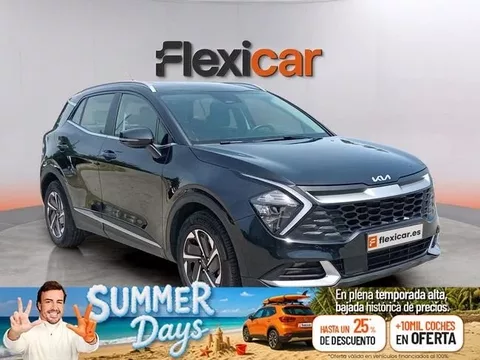KIA Sportage Sportage 1.6 T-GDi HEV Drive 239