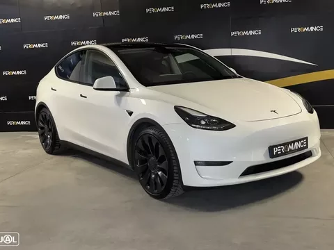 Tesla Model Y Performance Dual Motor AWD