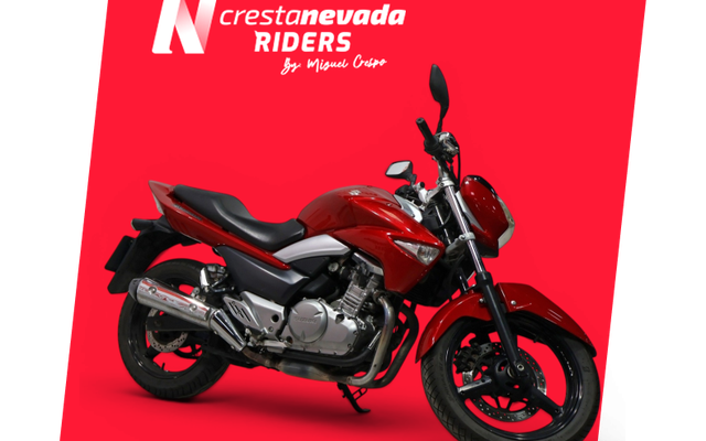 Suzuki INAZUMA 250