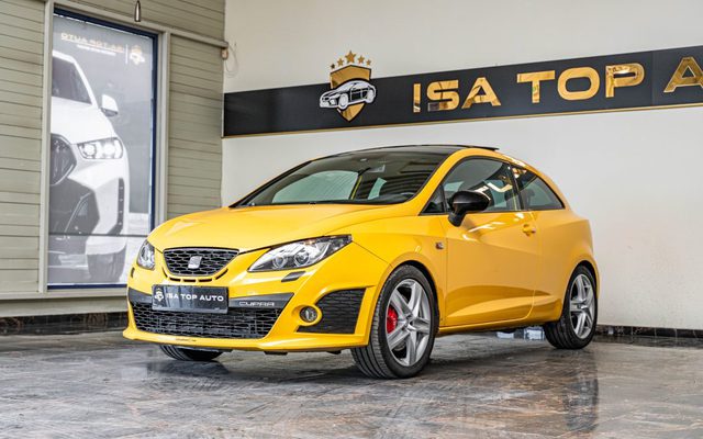 Seat Ibiza 2010