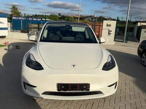 Tesla Model Y Long Range Dual Motor AWD