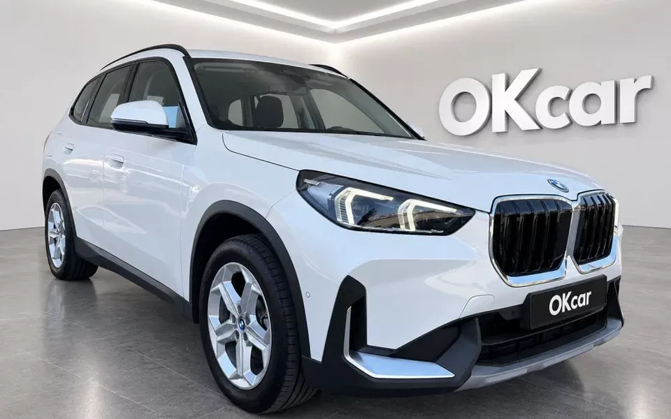 BMW X1 25 e xDrive