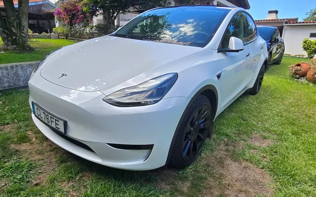 Tesla Model Y Standard