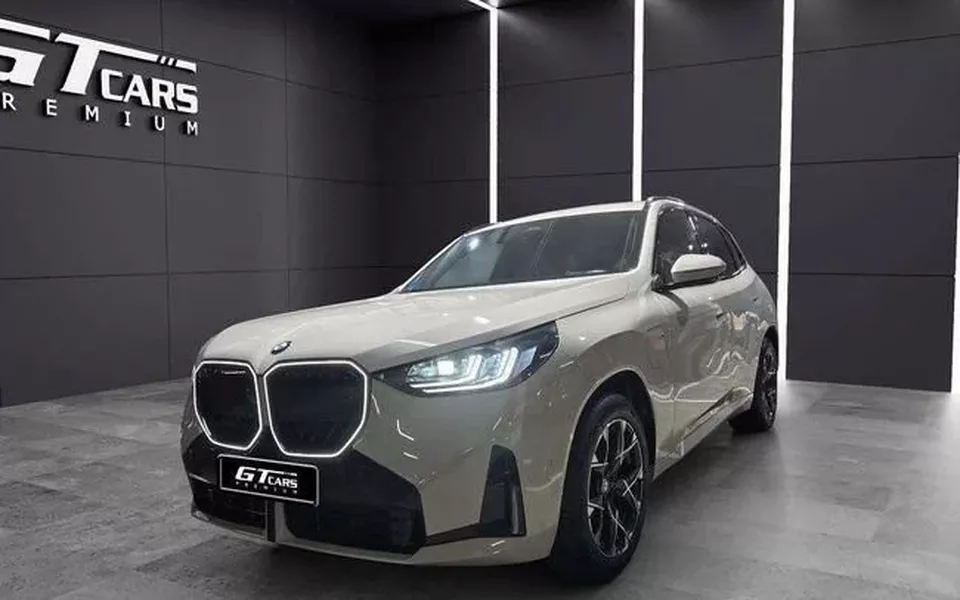 BMW X3 X3 xDrive 30e