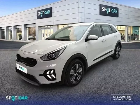 KIA Niro Niro 1.6 HEV Drive