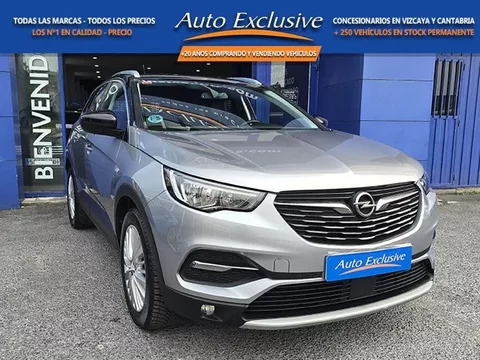 OPEL Grandland X Grandland X 1.5CDTi S&S 120 Aniversario 130 - 11490€ en Leioa