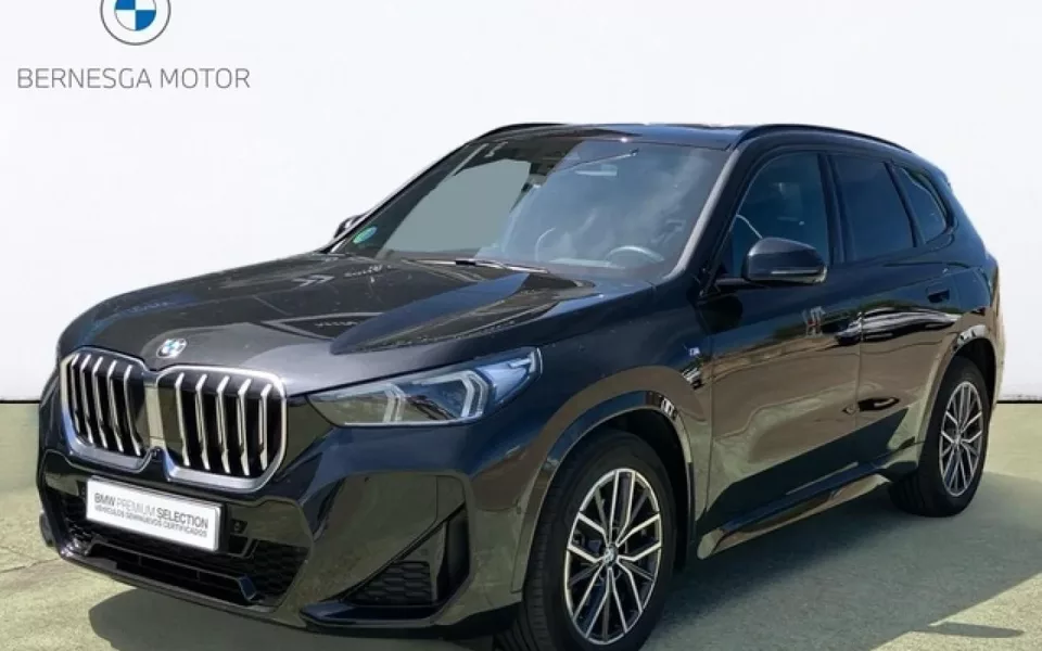 BMW X1 X1 xDrive 20dA