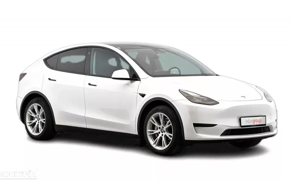 Tesla Model Y Standard