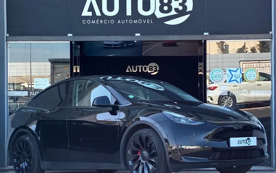 Tesla Model Y Performance Dual Motor AWD