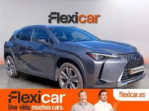 LEXUS UX UX 300e Business