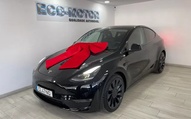 Tesla Model Y Performance Dual Motor AWD