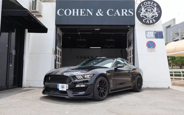 FORD Mustang Mustang Shelby GT350