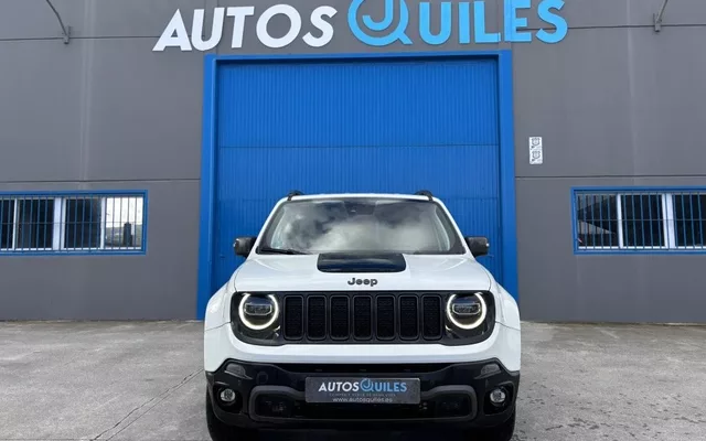 JEEP Renegade Renegade 2.0Mjt Trailhawk 4x4 Low Auto 170