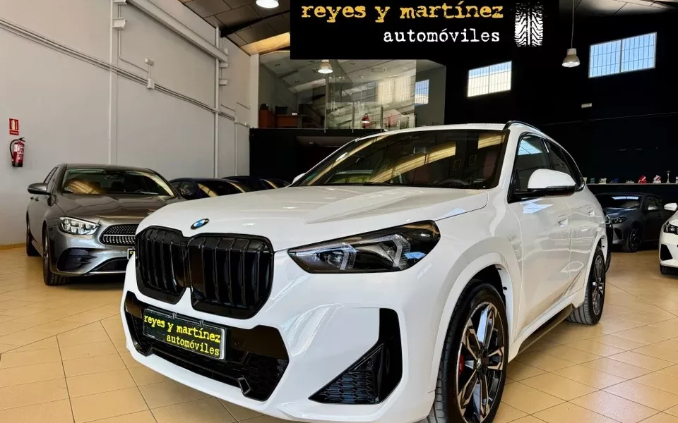 BMW X1 X1 sDrive 20dA M Sport Pro
