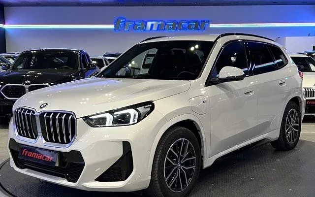 BMW X1 X1 xDrive25eA