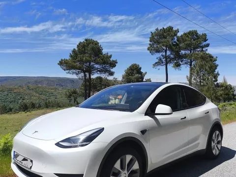 Tesla Model Y RWD