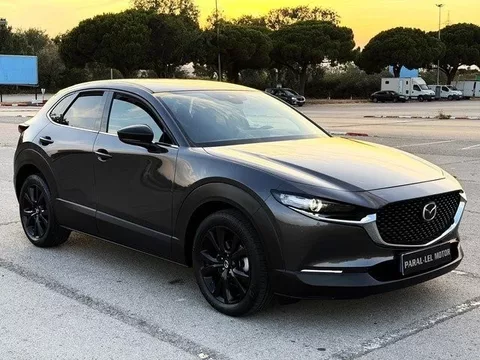 MAZDA CX-30 CX-30 2.0 e-Skyactiv-X Homura FWD Aut 137kW