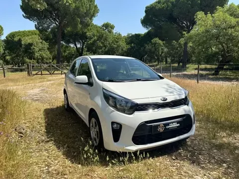 Kia Picanto 2021 .