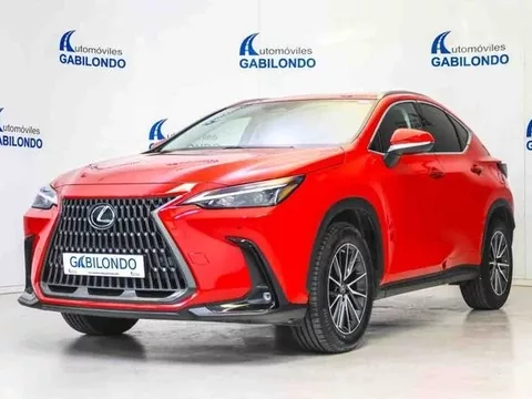 LEXUS NX 350h Business City 2WD - 42900€ en Valladolid
