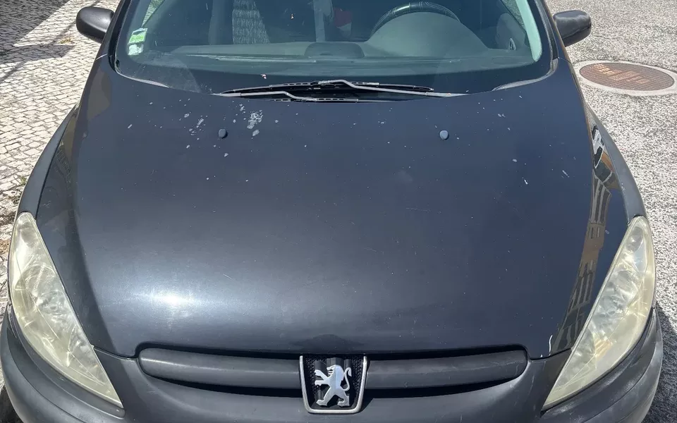Peugeot 307