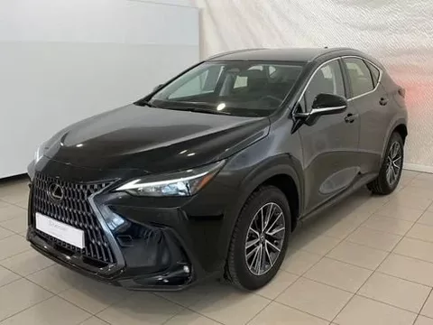 LEXUS NX BUSSINES CITY 2WD