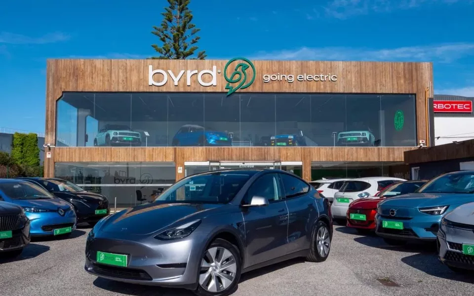 Tesla Model Y Standard
