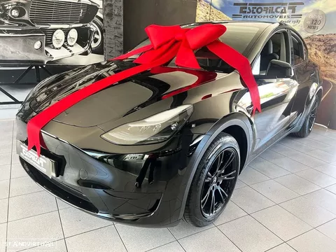 Tesla Model Y RWD