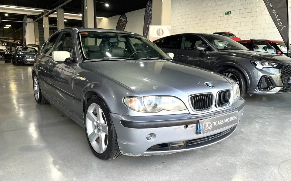 BMW Serie 3 318i