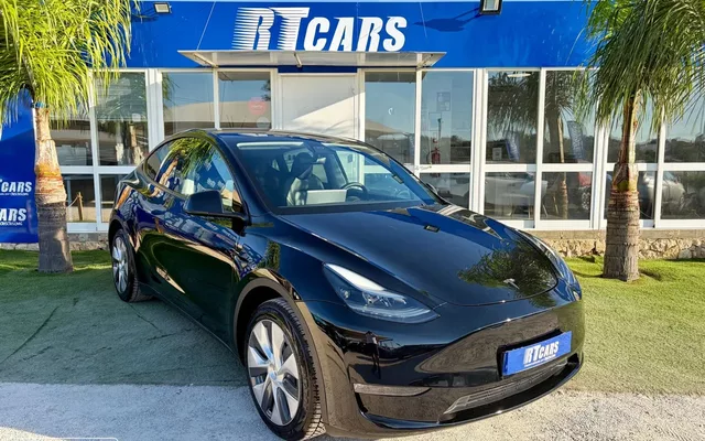 Tesla Model Y Long Range Dual Motor AWD