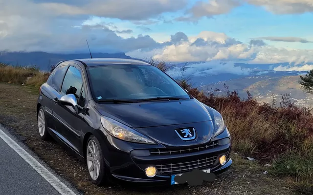 Peugeot 207 175 RC