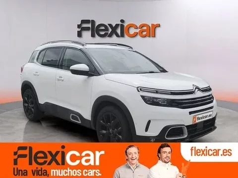 CITROEN C5 Aircross C5 Aircross BlueHDi S&S Feel EAT8 180