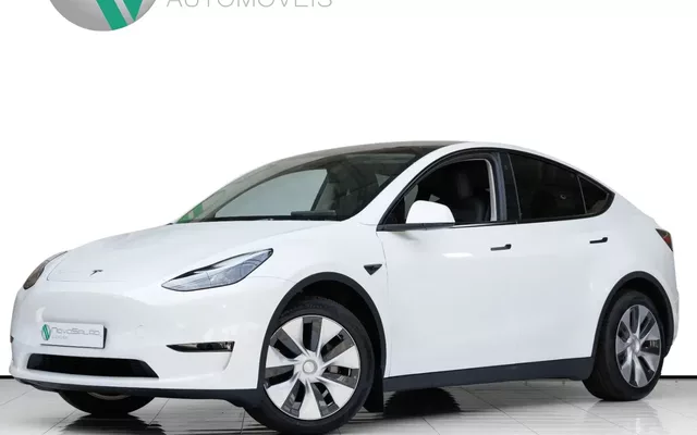 Tesla Model Y Long Range Dual Motor AWD