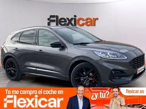 Vendido: FORD Kuga Kuga 1.5 EcoBoost ST-Line FWD 150 - 17690€ en Segovia
