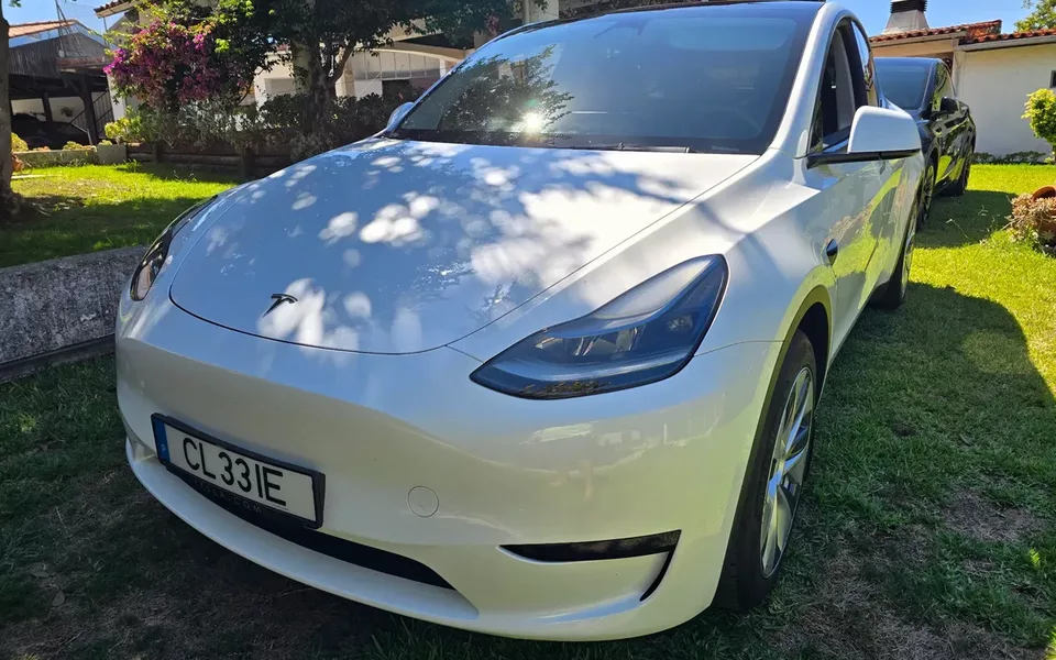 Tesla Model Y Standard