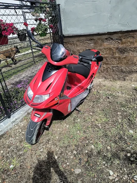 Foto 4