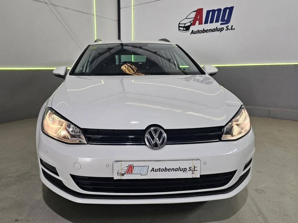 VOLKSWAGEN Golf Golf Variant 1.6TDI CR BMT Bluemotion 110