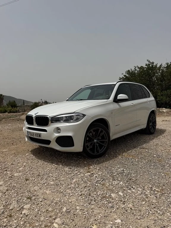 BMW X5 X5 xDrive 30dA