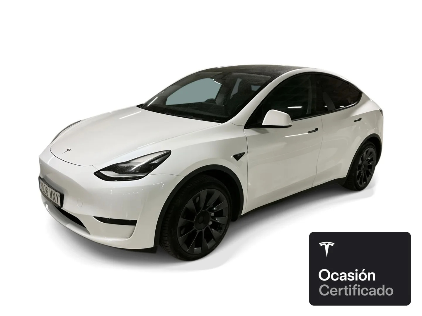 TESLA Model Y Rear-Wheel Drive