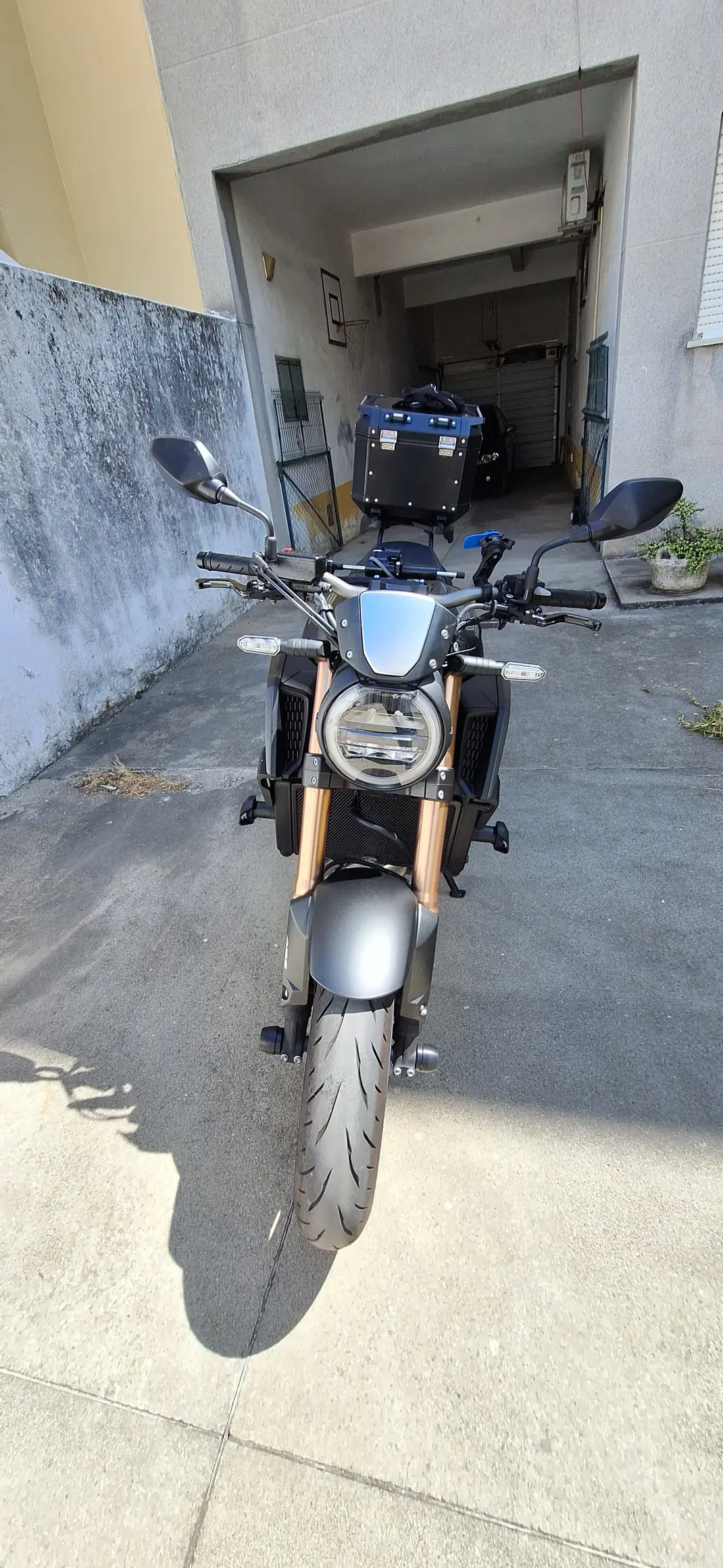 Foto 5