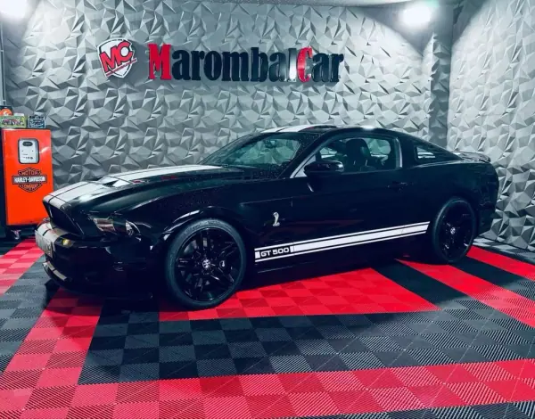 Shelby GT500 2010 other_Outro