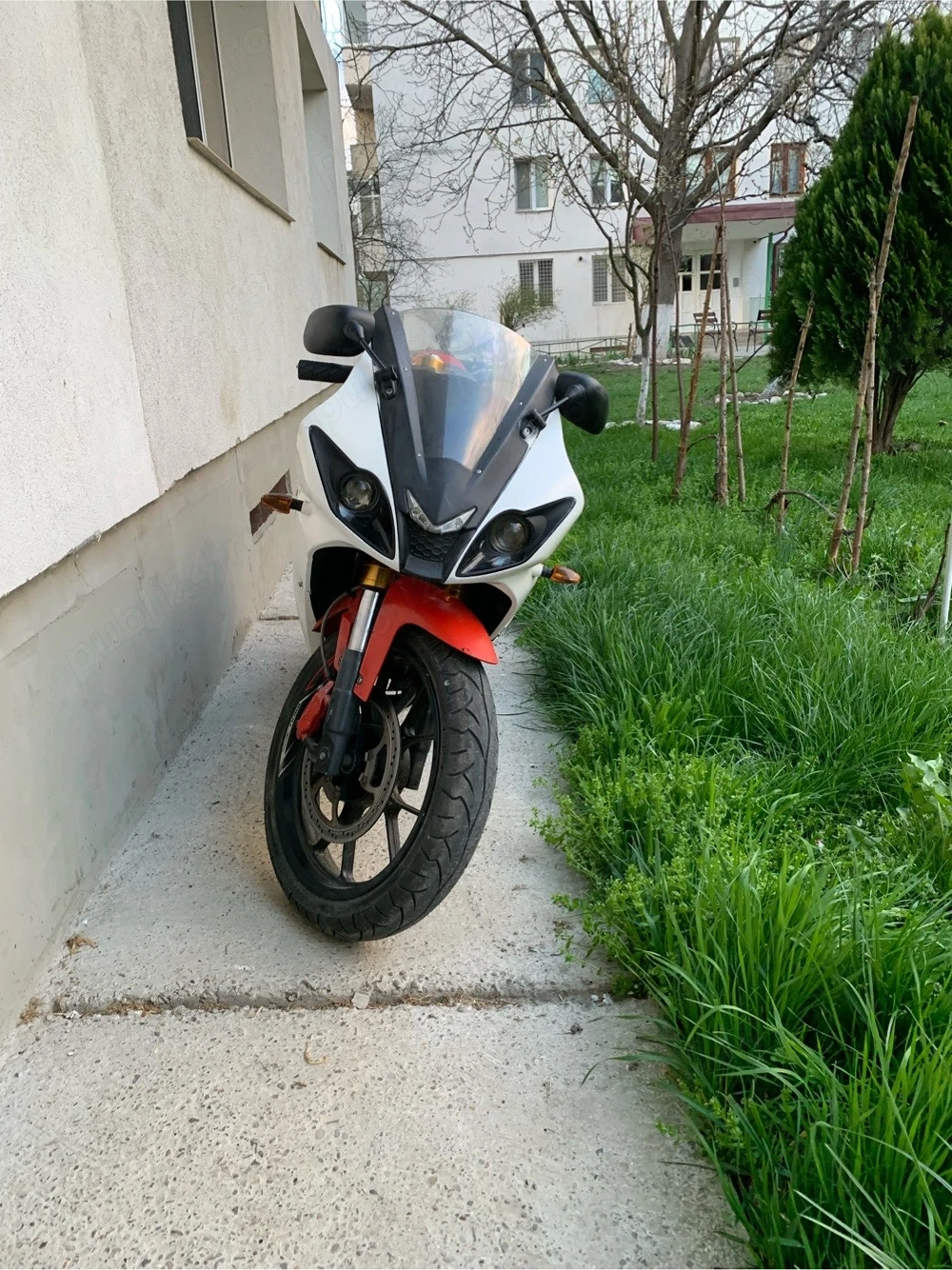 Foto 2