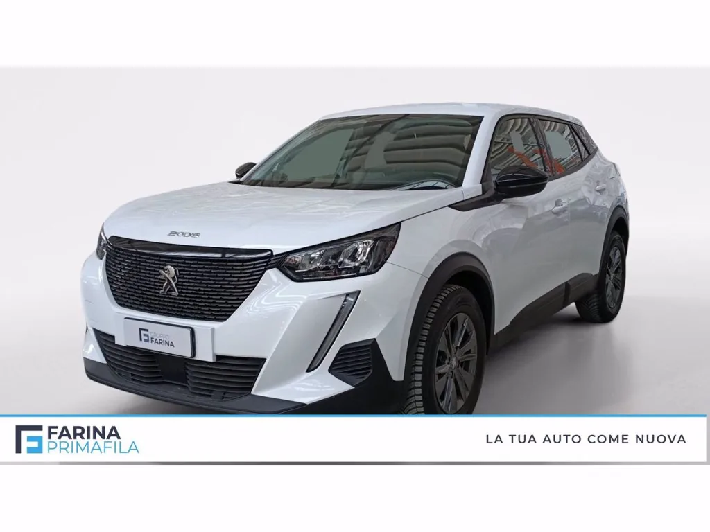 PEUGEOT 2008 1.5 bluehdi active pack s&s 110cv
