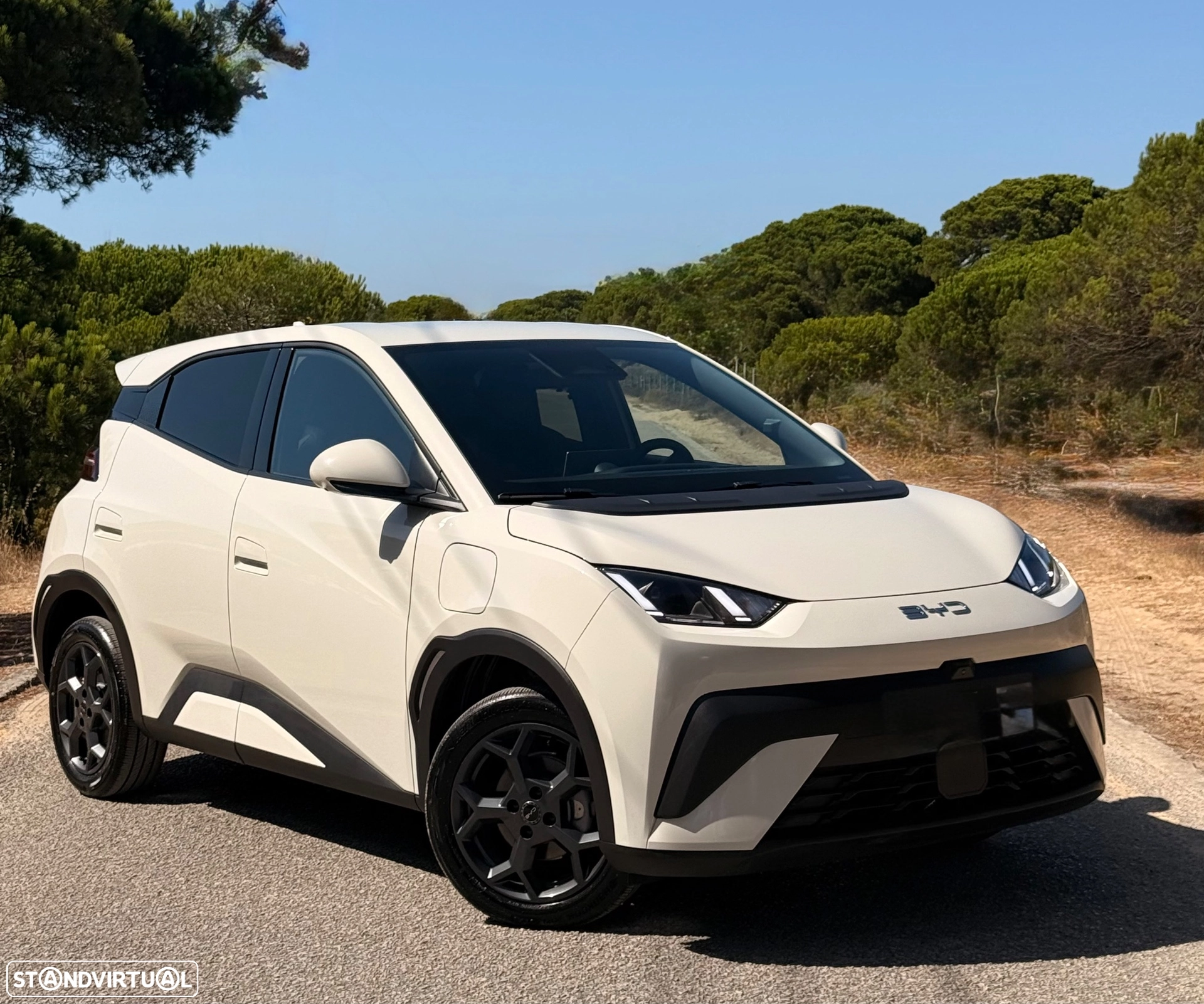 BYD Dolphin Surf 43.2 kWh Comfort