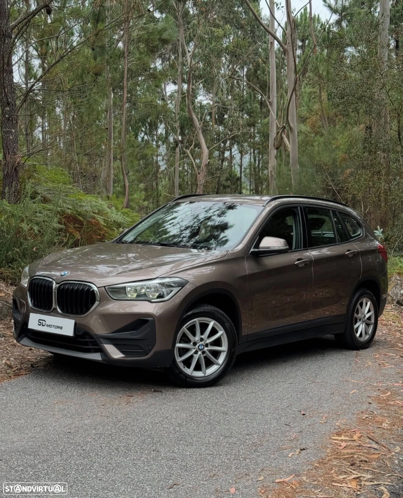 BMW X1 16 d sDrive Advantage