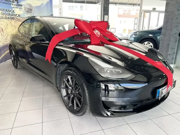 Tesla Model 3 2021 Long Range AWD Dual Motor