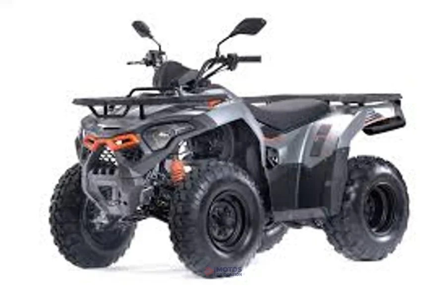 Loncin Otros -WOLF 200