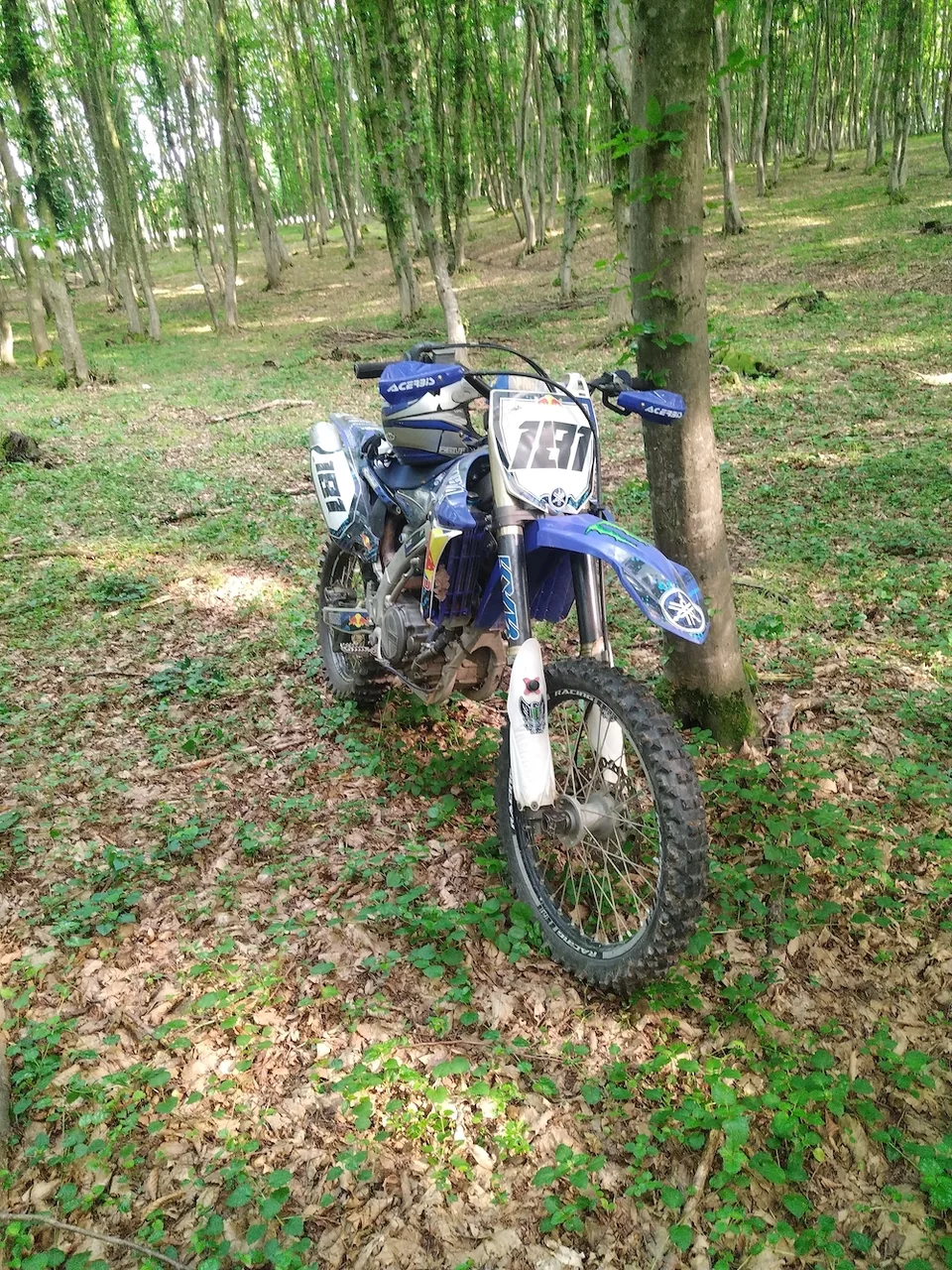 Foto 2
